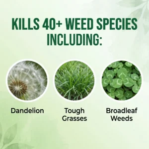 🔥 Advanced 2-in-1 Pro+ Herbicide | Upgraded Formula for 6-Hour Rapid Kill, Root Eradication & Destroys Glyphosate-Resistant Weeds - Image 9