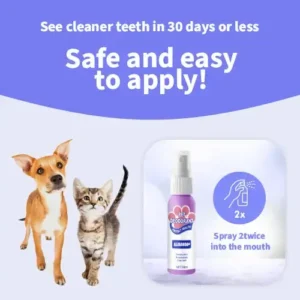Natural Dental Spray - Image 3