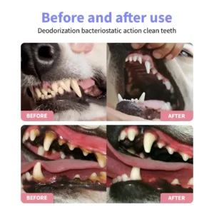 Natural Dental Spray - Image 2