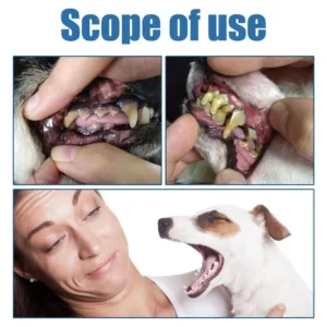 ✨ Pet Dental Care Spray | Advanced Tartar & Plaque Remover ✨ - Image 3