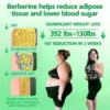 Nano Patch – Weight & Skin Support