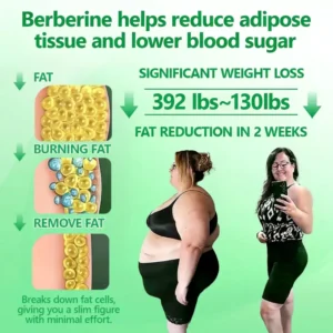 Nano Patch – Weight & Skin Support