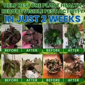 Baking Soda Powder for Plants - Image 5