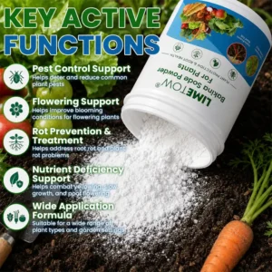 Baking Soda Powder for Plants - Image 7