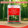 Cyclosinone Herbicide Water Dispersible Granules
