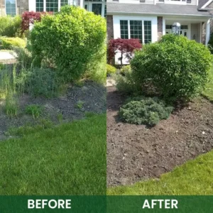 Powerful Herbicide Granules - Image 12