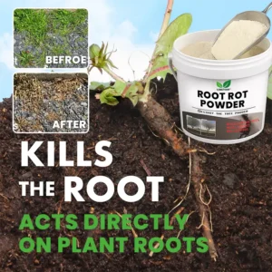 Root Rot Powder