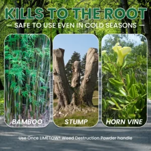 Weed Destruction Powder – Deep Penetrating Root Killer - Image 13