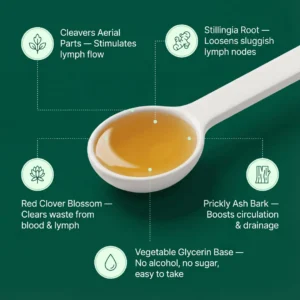 Nuflos Lymphatic Drainage Drops - Image 4