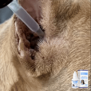 Pet Ear Pro Drops FM+ 2026 | Fast Relief for Cats & Dogs - Image 2