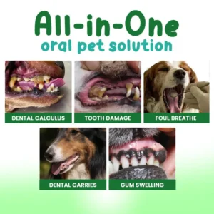 Pet Oral Care Spray - Image 3