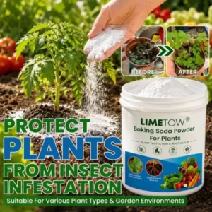 Baking Soda Powder for Plants - Image 4