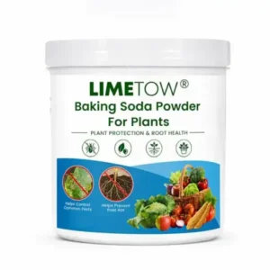 Baking Soda Powder for Plants - Image 2