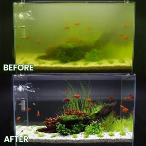 Powerful Aquarium Water Purification Tablet - Image 11
