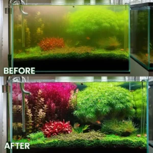 Powerful Aquarium Water Purification Tablet - Image 12