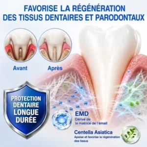 Gel Régénération Parodontale - Image 9