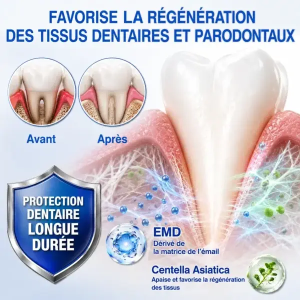 Gel Régénération Parodontale - Image 9