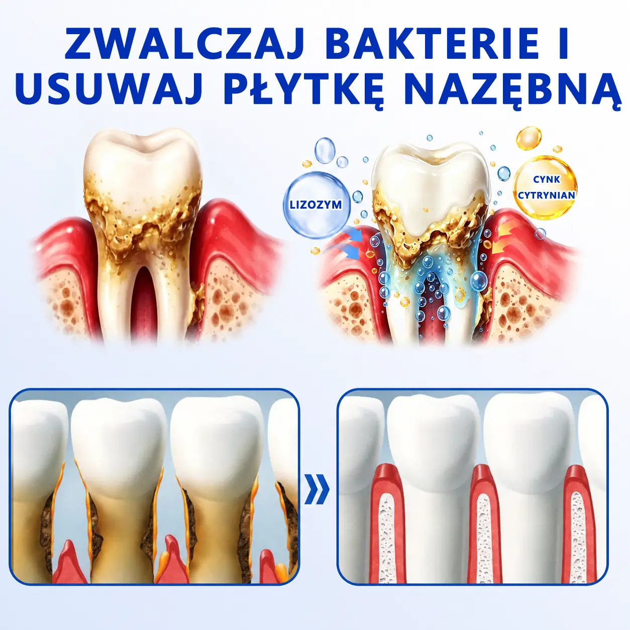 GumRevive - Image 7